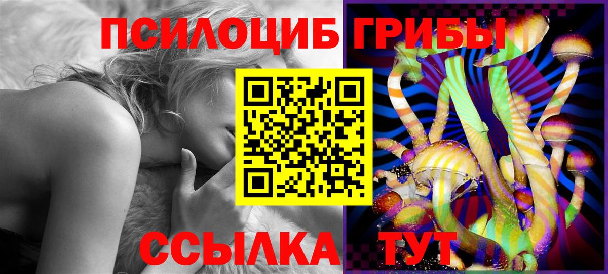 Фрязино  Псилоцибиновые грибы Psilocybe  Вход с VPN  Галлюциногенные грибы MAGIC MUSHROOMS 