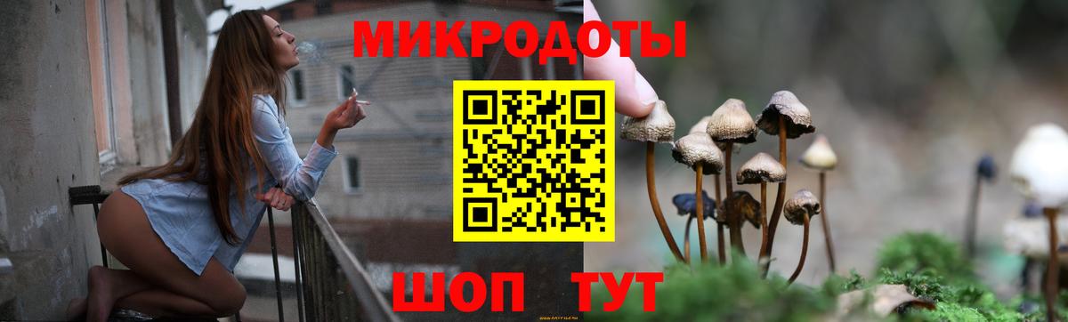 Псилоцибиновые грибы мицелий Фрязино